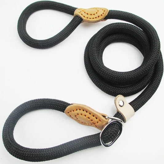 P Chain Dog Leash Slip Collar Pet Walking Leads Nylon Dog Mountain Climbing Rope Puppy Pet Traction for Small Medium Large Dogs