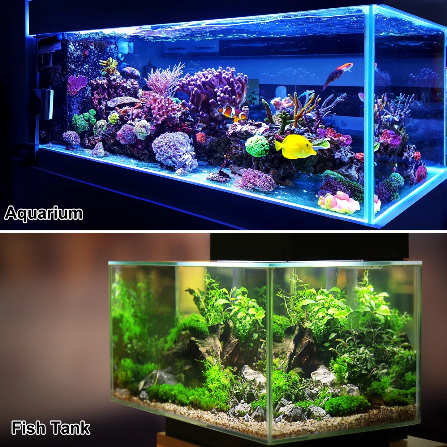 Revolutionize Your Aquarium Care with Our Premium Water Changer Siphon - Effortless Cleaning and Maintenance Tool!