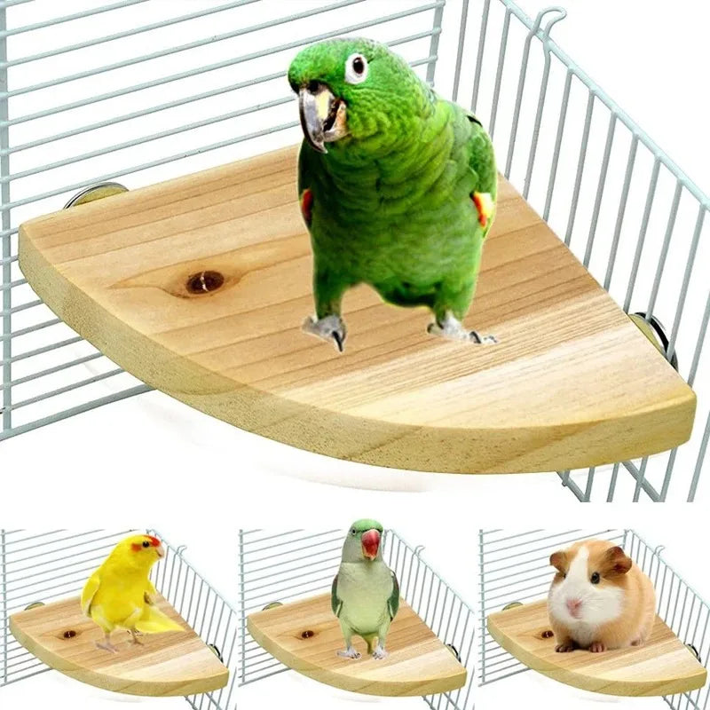 Elevate Your Bird's Habitat with Our Premium Wooden Parrot Perch Stand - Perfect for Parakeets, Hamsters, and More!