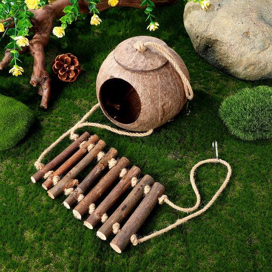 Coconut Cave Hideout for Reptiles - Cozy Ladder Accessory for Crested Geckos and Small Pets
