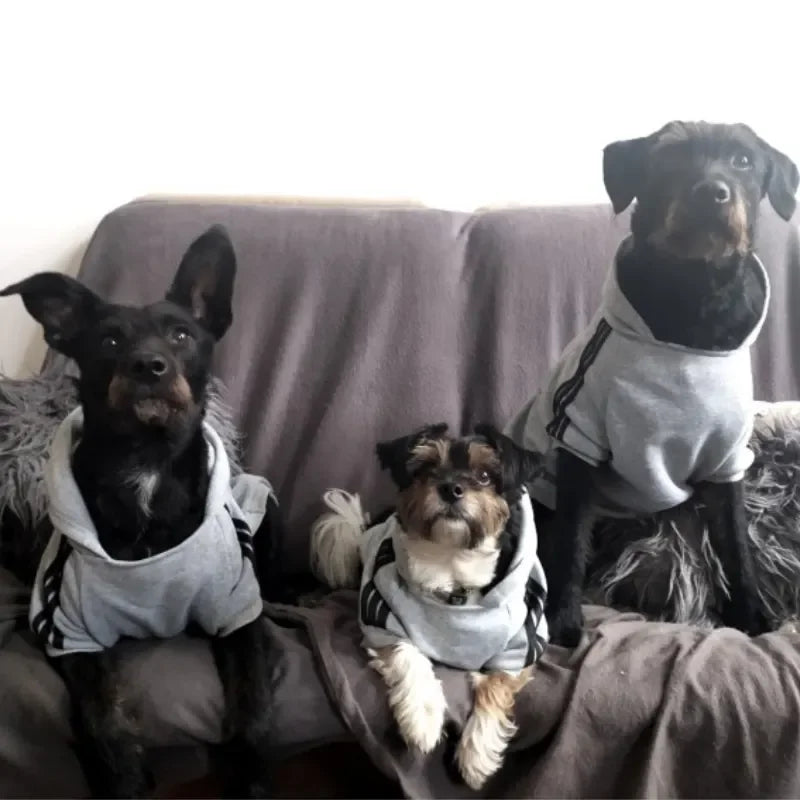Cozy Up Your Pup with Our Adidog Autumn Winter Warm Dog Hoodies - Perfect for Medium to Large Dogs!
