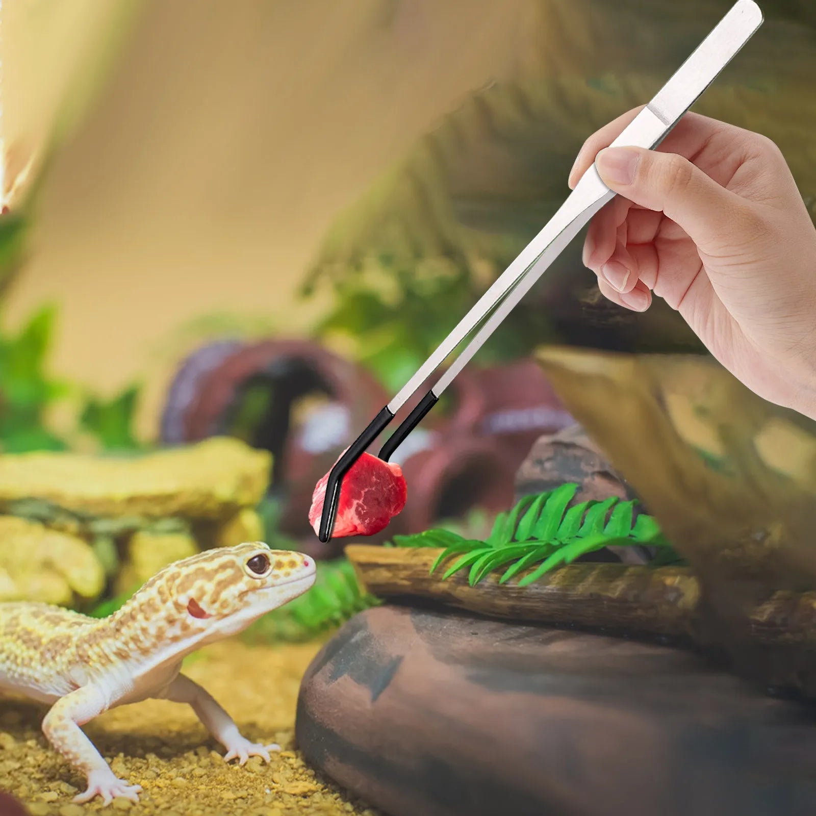 Premium Stainless Steel Reptile Feeding Tongs - Long Tweezers for Lizards, Snakes, Tarantulas, and More!