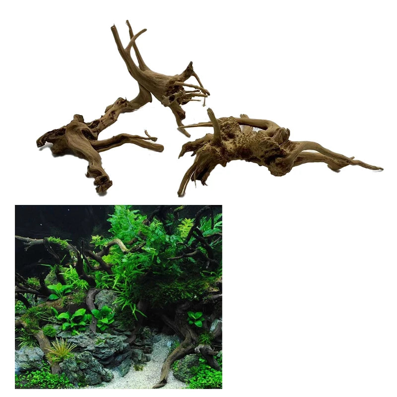Transform Your Aquarium with Natural Tree Trunk Driftwood - Stunning Plant Wood Decoration for Fish Tanks
