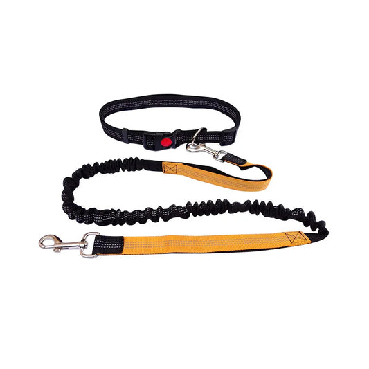 Experience Ultimate Freedom with Our Adjustable Hands-Free Dog Leash - Perfect for Walking, Running, and Jogging!