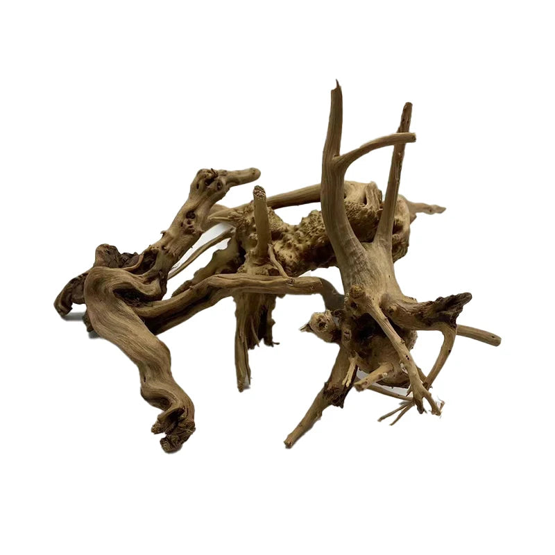 Transform Your Aquarium with Natural Tree Trunk Driftwood - Stunning Plant Wood Decoration for Fish Tanks