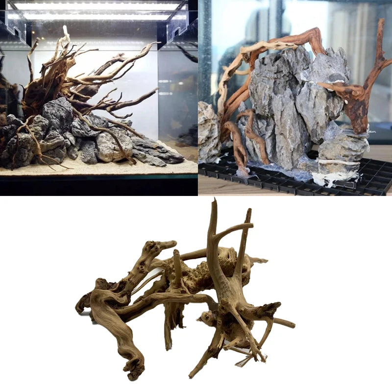 Transform Your Aquarium with Natural Tree Trunk Driftwood - Stunning Plant Wood Decoration for Fish Tanks