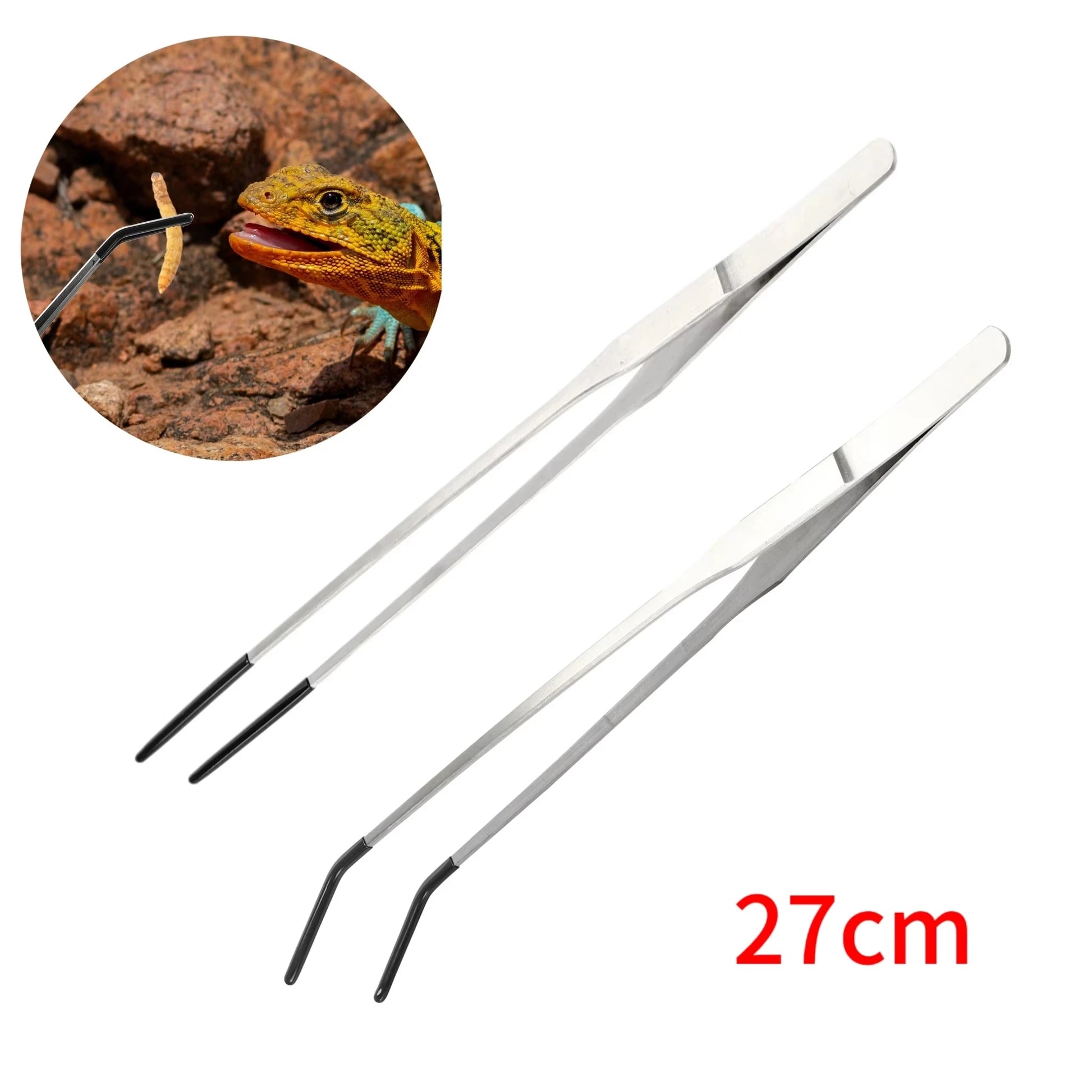 Premium Stainless Steel Reptile Feeding Tongs - Long Tweezers for Lizards, Snakes, Tarantulas, and More!