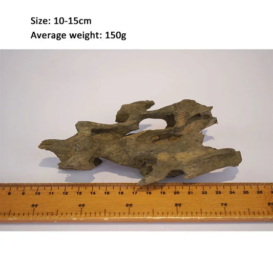 Natural Porous Wooden Driftwood for Aquariums - Unique Fish Tank Decoration for Crabs, Shrimp, and Fish