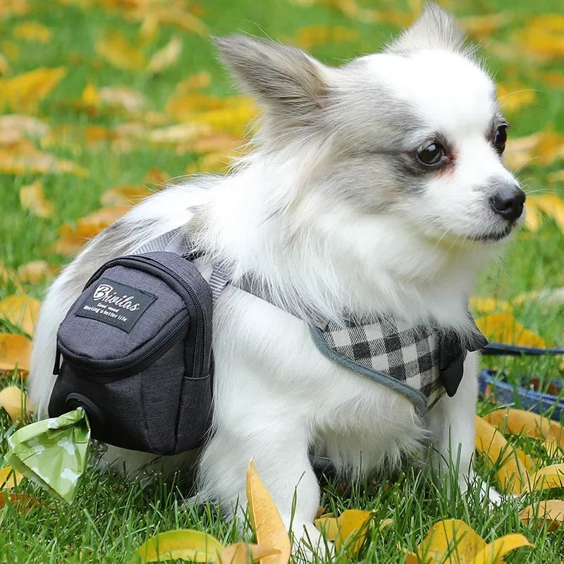 Ultimate Portable Dog Training Treat Bag - Convenient Waist Pouch for Snacks & Poop Disposal!