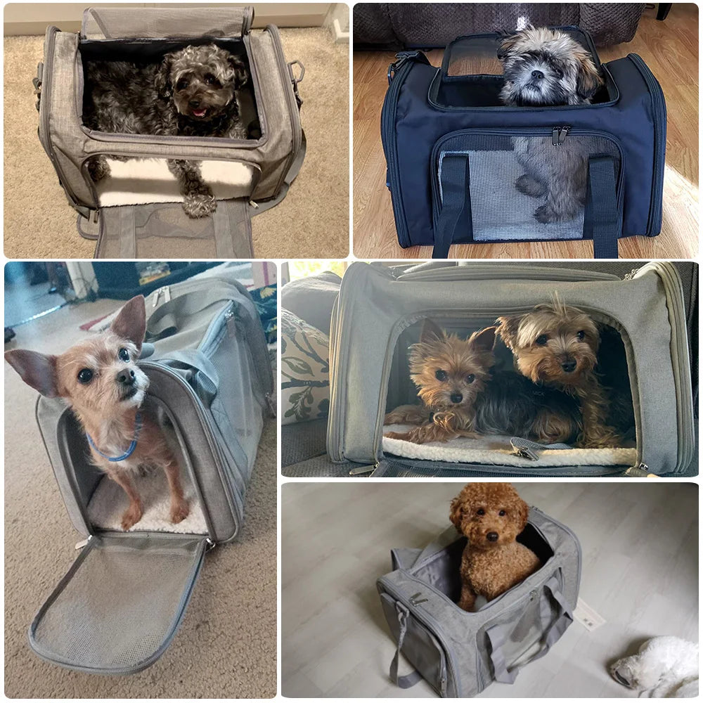 Ultimate Dog Carrier Backpack - Airline Approved Soft-Sided Travel Bag for Small Dogs and Cats