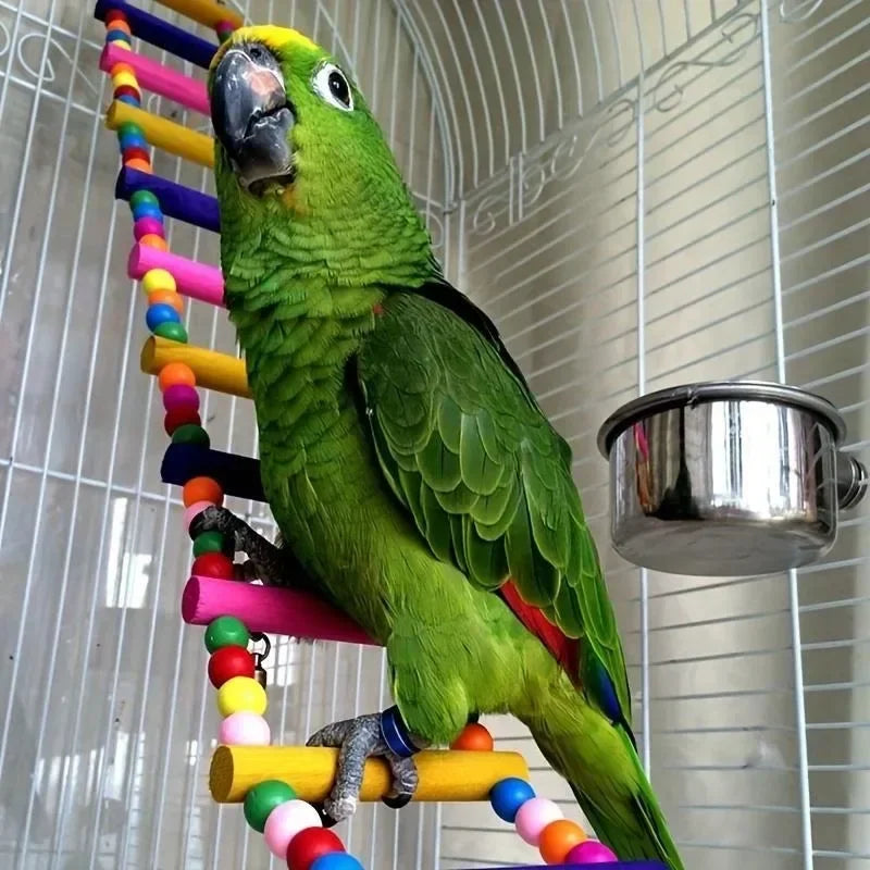 Colorful Wooden Bird Parrot Toys - Fun Hanging Ladders & Hammock Swing for Pet Birds